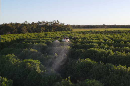 Mudgee Small Farm Field Days